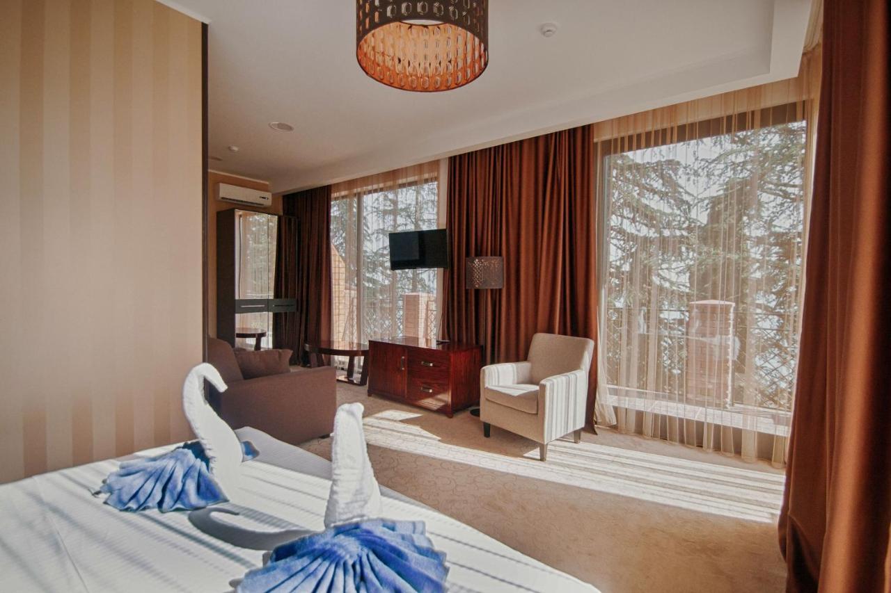 Afon Resort Hotel New Athos Cameră foto